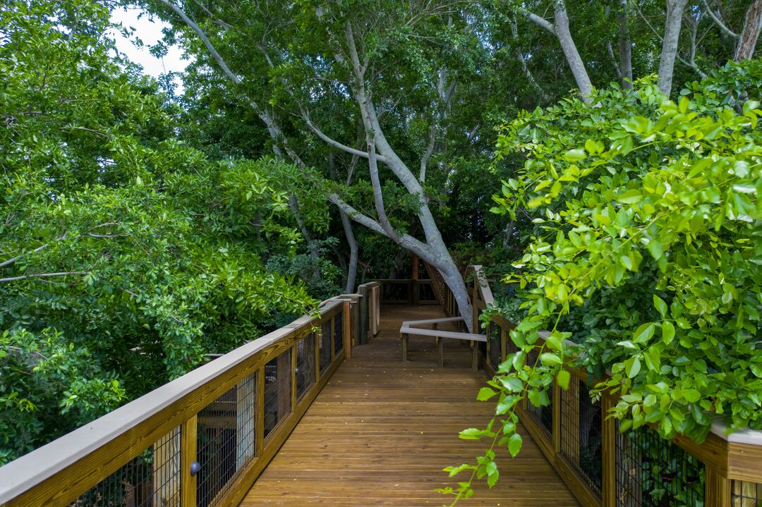 Robinson Preserve NEST canopy