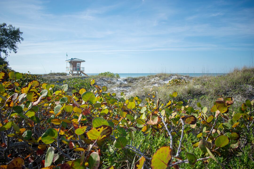 Coquina Beach