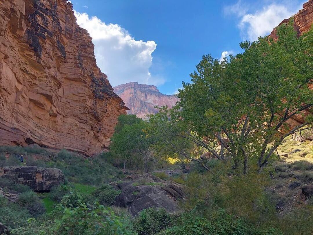 Grand Canyon National Park