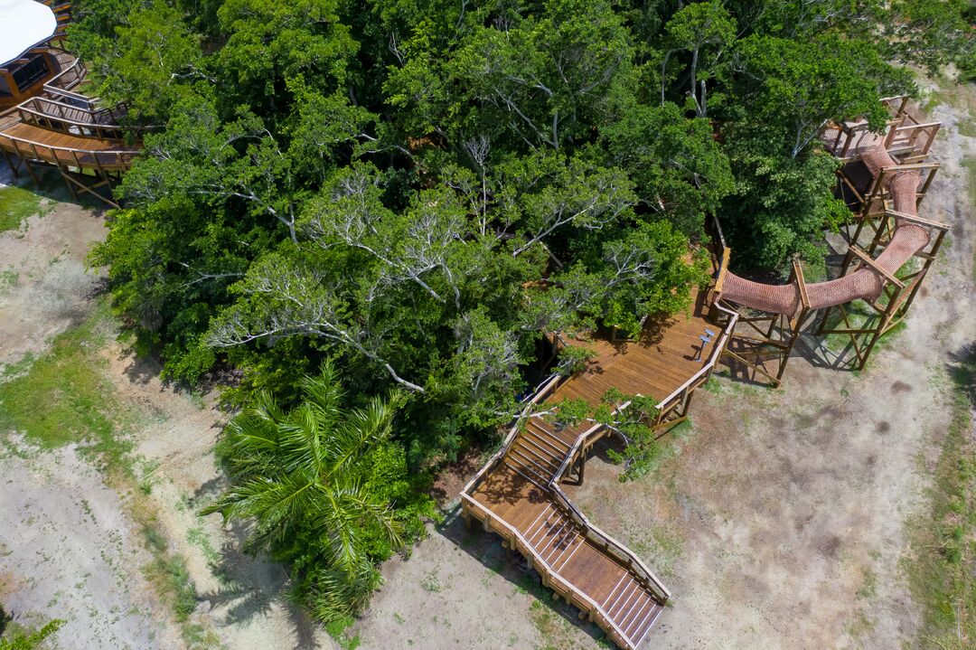 Robinson Preserve NEST canopy