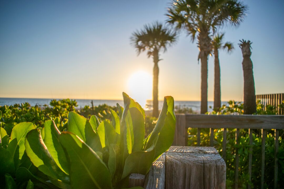 Cortez Beach