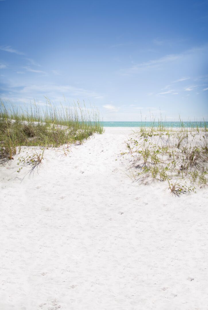 BACVB Dallas Event Beach Drape
