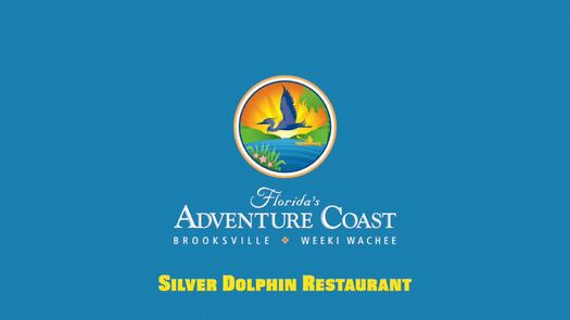 Silver Dolphin Feb 2021