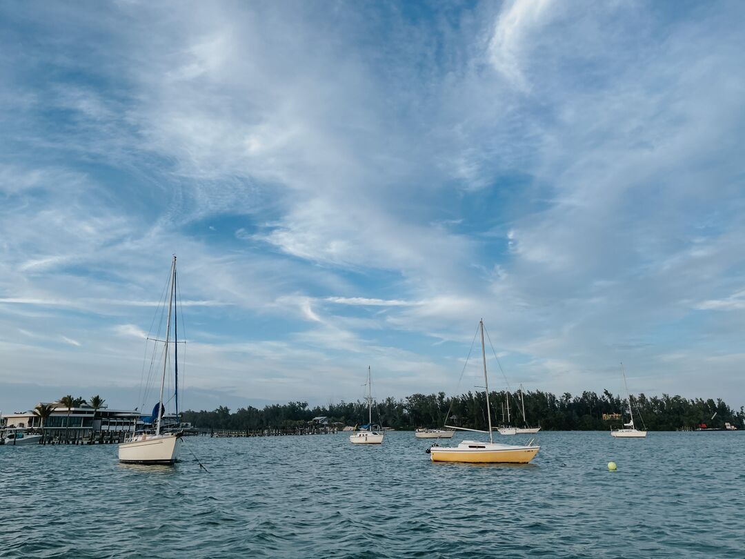 Sailboats on Sarasota Bay