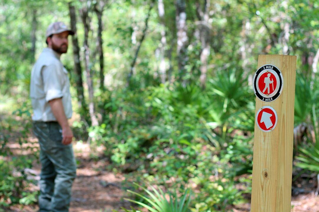 Fickett Hammock Preserve Tour