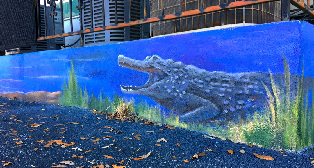 Alligator Mural on Spa 105, Brooksville, FL