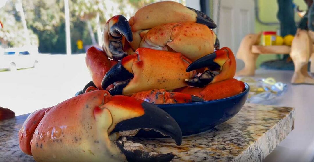 Stone-Crabs