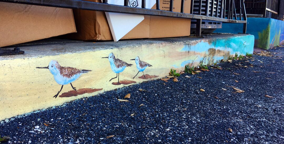 Spa 105 mural - sandpipers