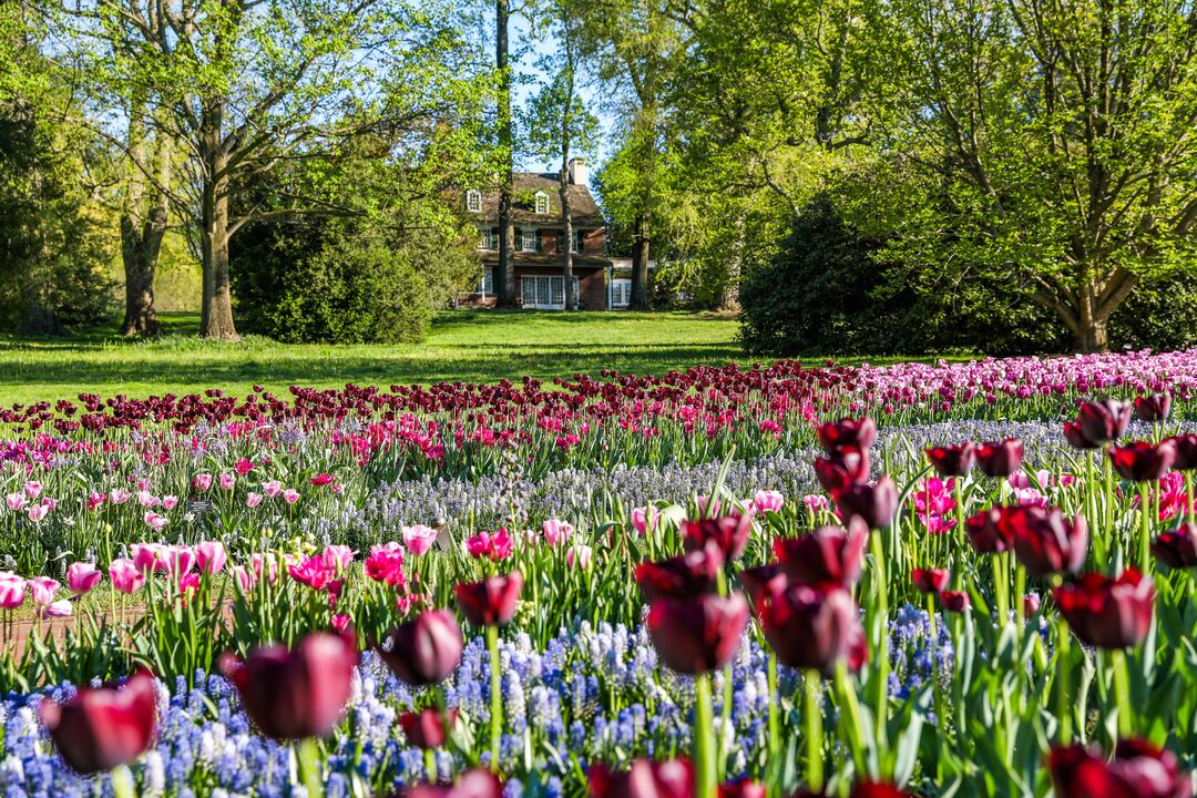 Longwood Gardens Spring