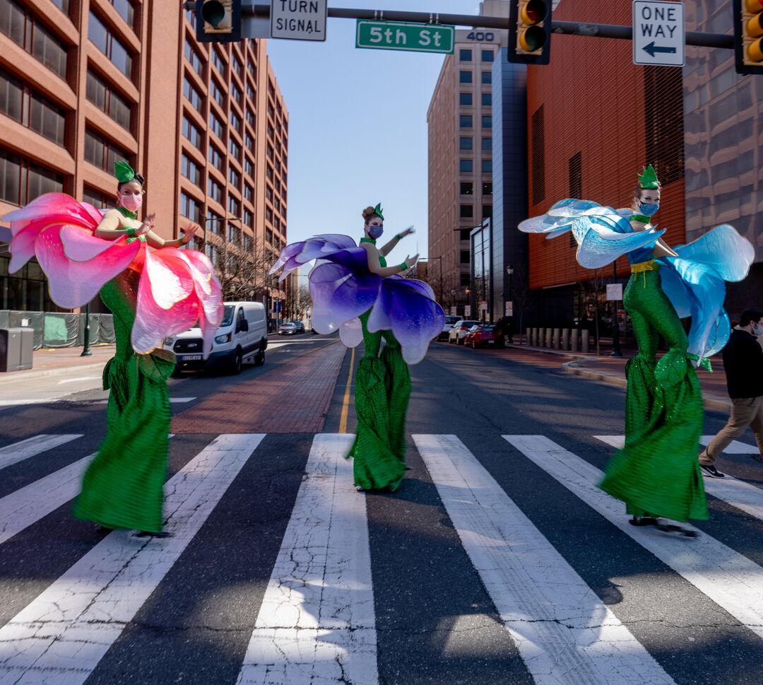 Spring Tulip Stilt Walkers_20