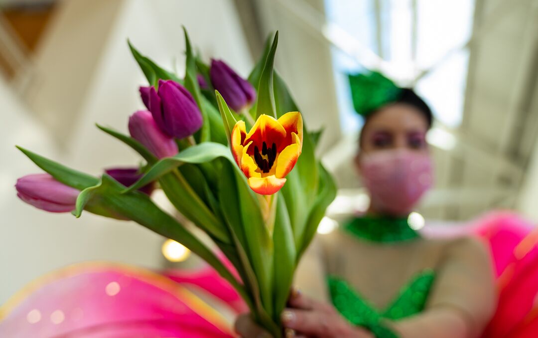 Spring Tulip Stilt Walkers_12