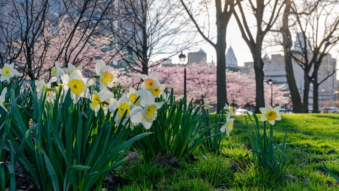 Franklin Square