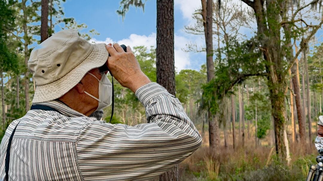 Birding 2021-03-26 at 9.14.41 AM