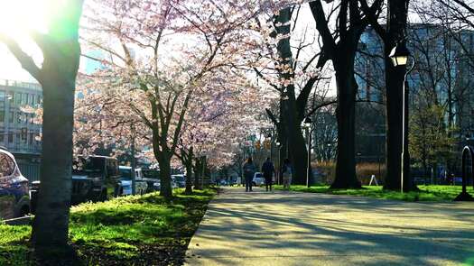 Franklin Square