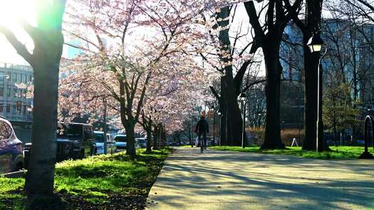 Franklin Square