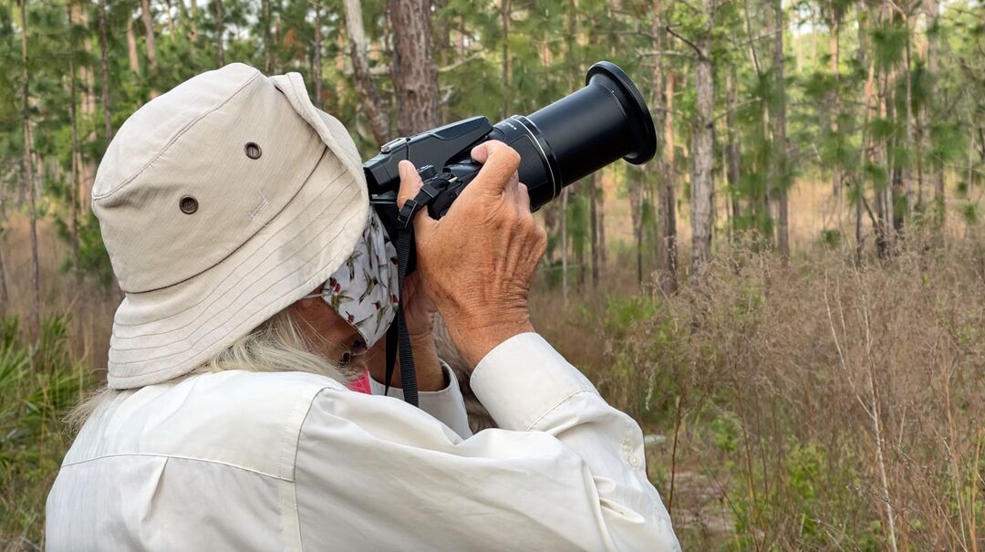 Birding 2021-03-26 at 9.18.28 AM copy