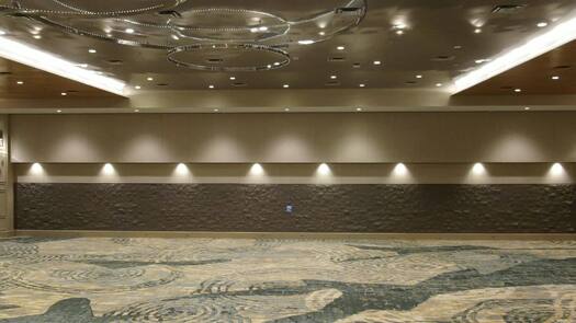 Palms Ballroom Video6