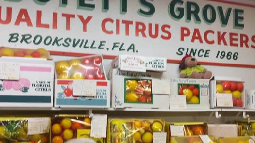 Boyette's Grove & Citrus Attraction 2021 Final