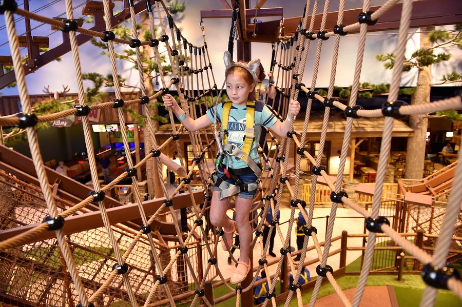 Howlers Peek Ropes Course, Scottsdale_credit Great Wolf Resorts, Inc