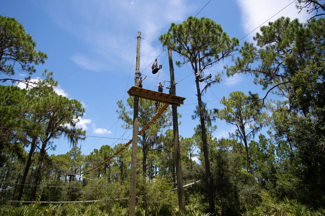 TreeUmph! Adventure Course