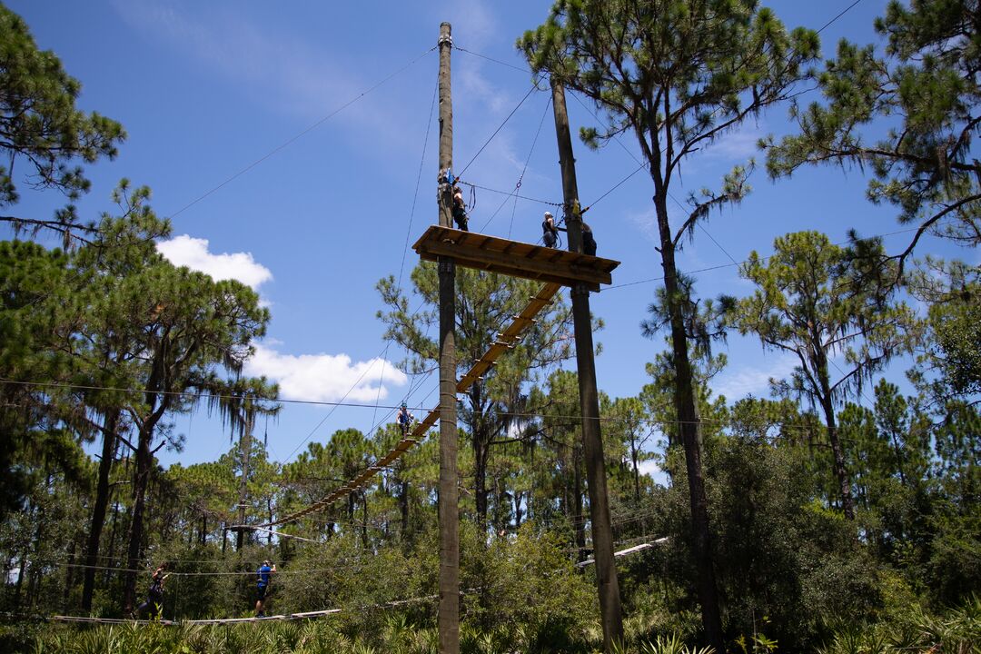 TreeUmph! Adventure Course