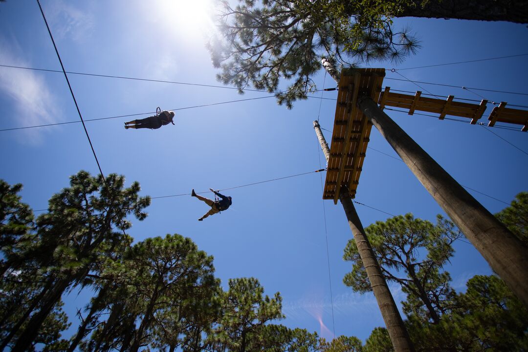 TreeUmph! Adventure Course