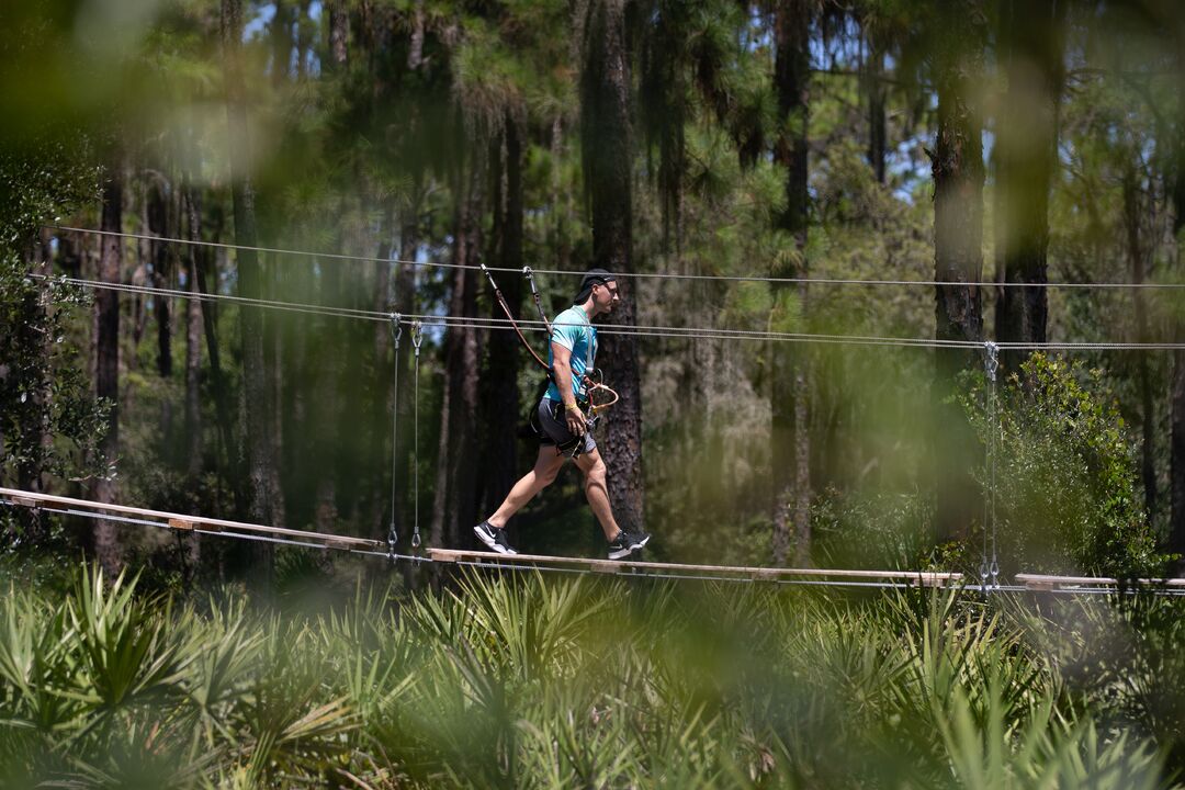 TreeUmph! Adventure Course