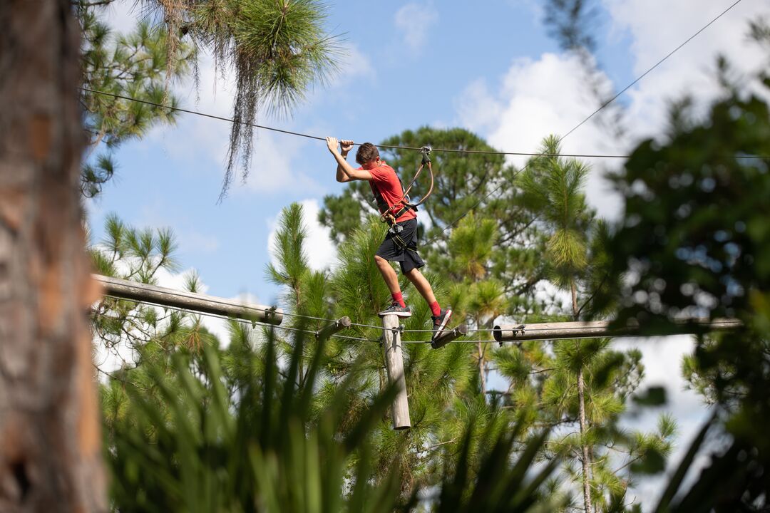 TreeUmph! Adventure Course