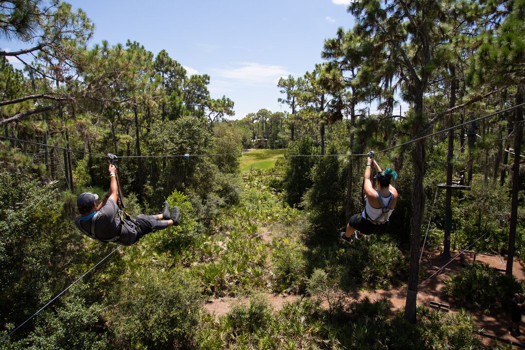 TreeUmph! Adventure Course
