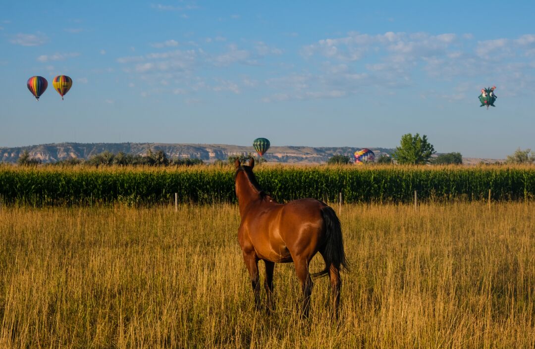 Old West Balloon Fest