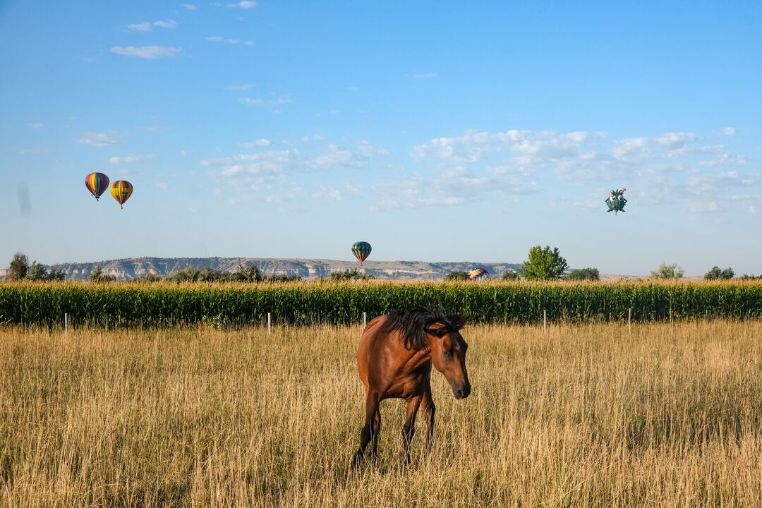 Old West Balloon Fest