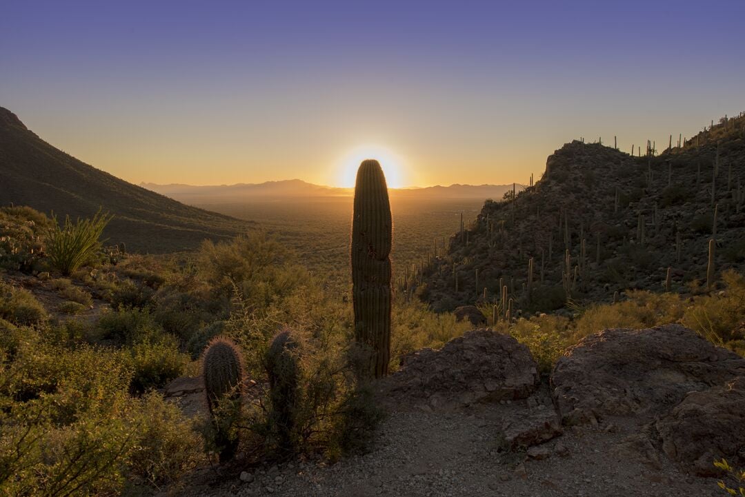 Mount Lemmon