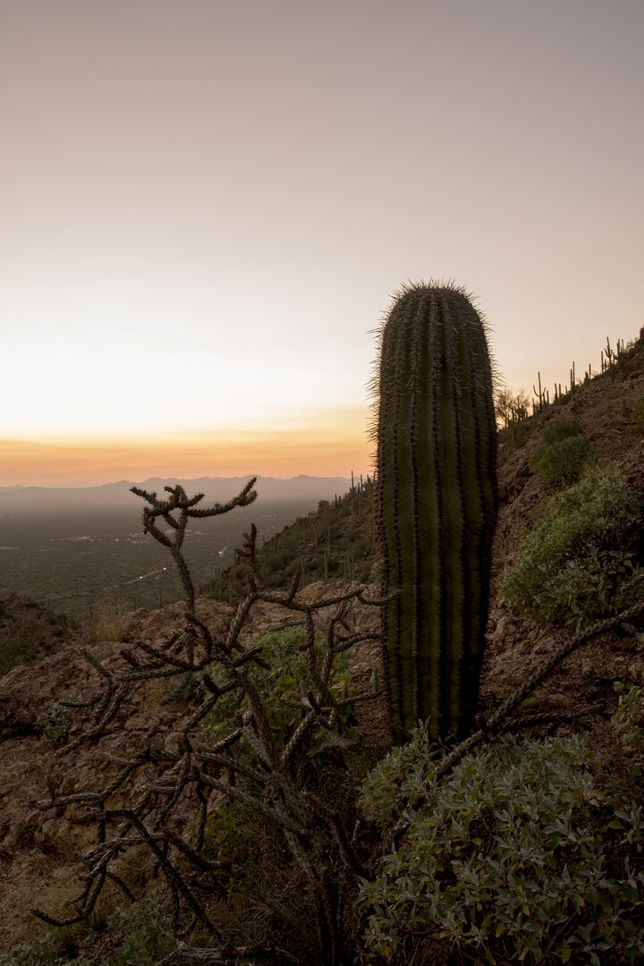 Gates Pass