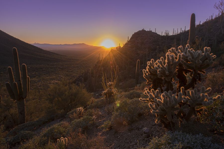 Mount Lemmon, Tucson_credit Andrés Lobato