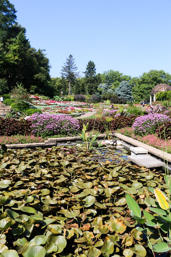 Sunken Gardens