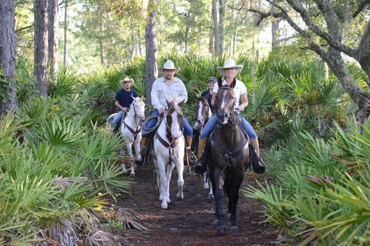 Horseback Riding