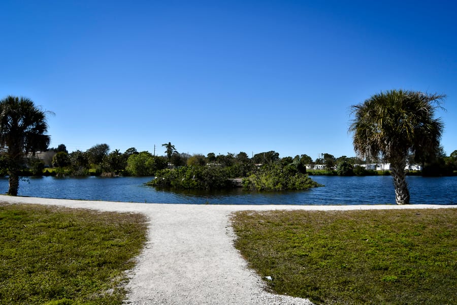 Venice Rookery