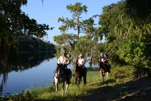 Horseback Riding