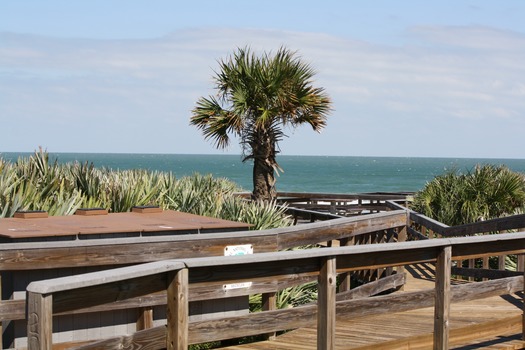 Canaveral National Seashore