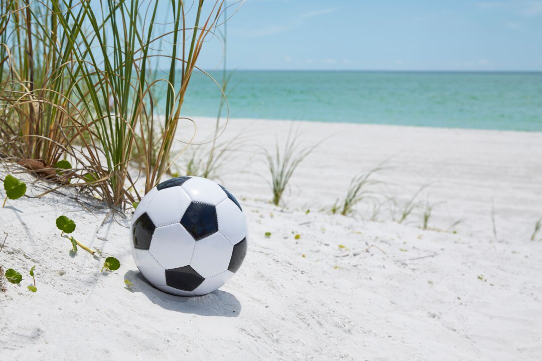 Sports Equipment Soccer