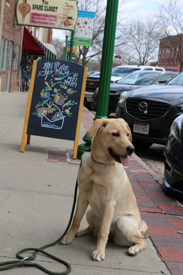 Downtown Ashland