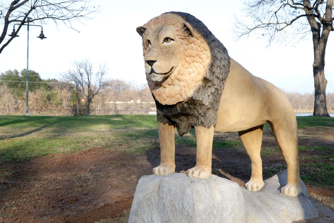 Zoo Trail Statues - African Lion 01-14-20 02