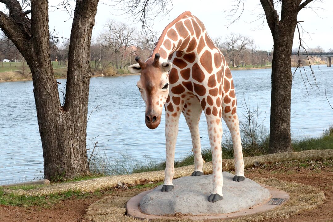 Zoo Trail Statues - Giraffe 01-14-20 01