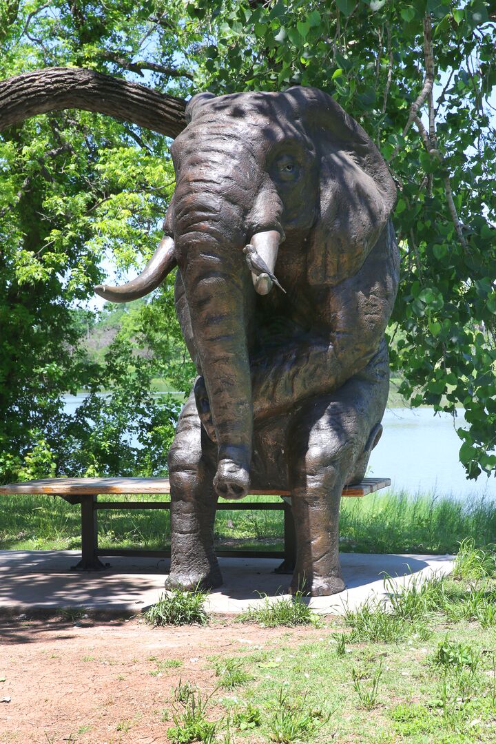 Zoo Trail Statues - Wise Elephant 05-05-21 01