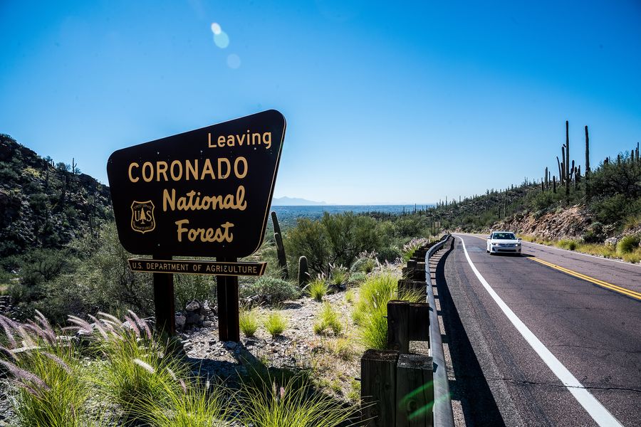 Coronado National Forest, Tucson_credit Sergio Tapiro Velasco