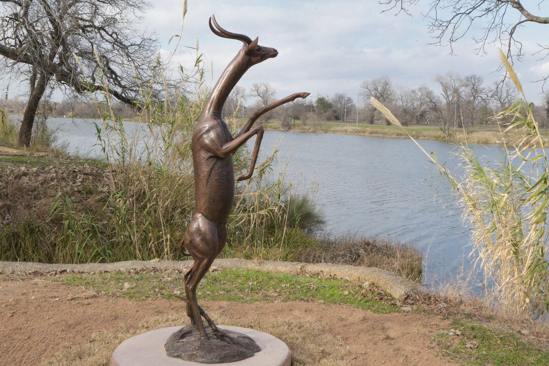 Zoo Trail Statues - Gerenuk 01-14-20 03