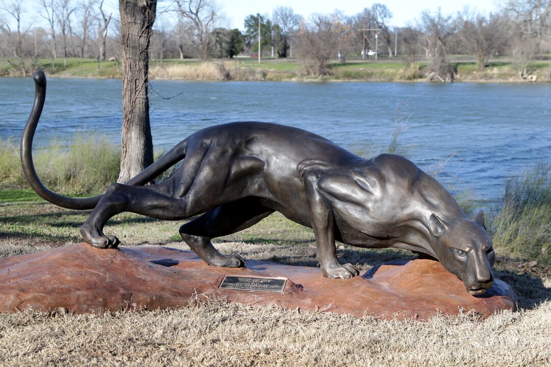 Zoo Trail Statues - Night Cat 02-06-20 01