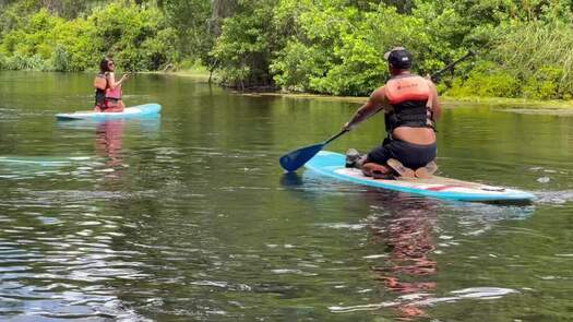 kayaking weeki river b-roll_0309