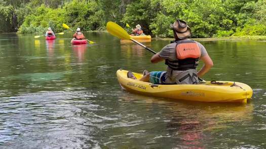 kayaking weeki river b-roll_0305