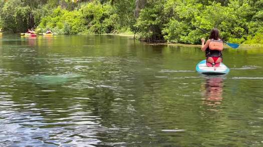 kayaking weeki river b-roll_0308